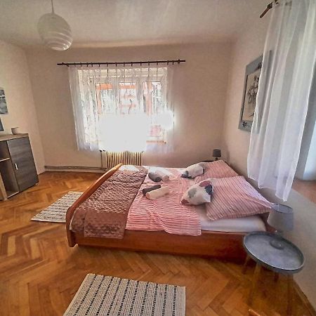 Apartman Isabel Apartment Decin Exterior photo